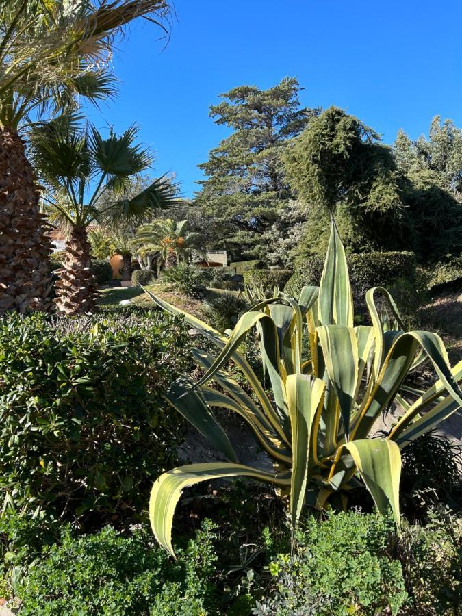 Appartement Vue Mer Domaine Arbore Saint-Raphaël 外观 照片